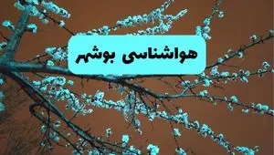 هواشناسی بوشهر ۲۴ ساعت آینده | پیش بینی وضعیت آب و هوا بوشهر فردا یکشنبه ۲۵ خرداد ماه ۱۴۰۴ 