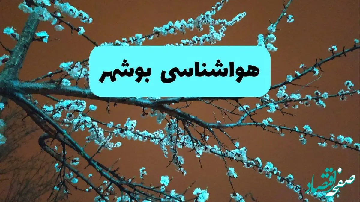 هواشناسی بوشهر ۲۴ ساعت آینده | پیش بینی وضعیت آب و هوا بوشهر فردا یکشنبه ۲۵ خرداد ماه ۱۴۰۴ 