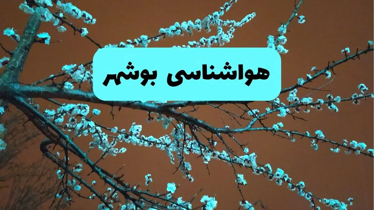 هواشناسی بوشهر ۲۴ ساعت آینده | پیش بینی وضعیت آب و هوا بوشهر فردا یکشنبه ۲۵ خرداد ماه ۱۴۰۴ 