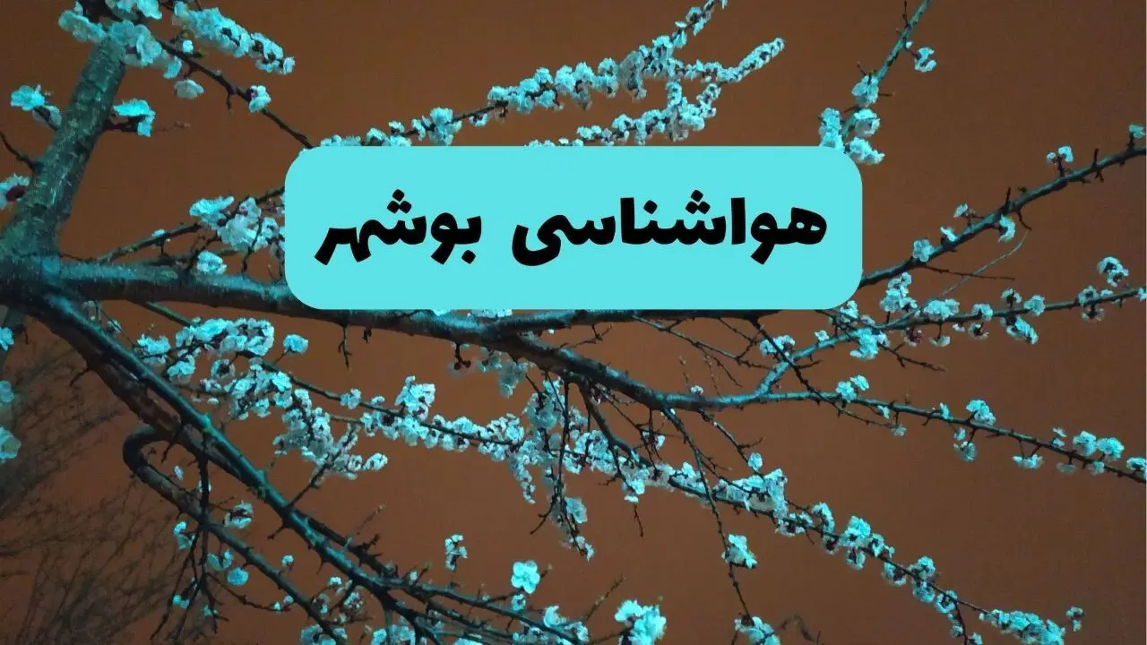 پیش بینی وضعیت آب و هوا بوشهر فردا شنبه ۱۵ فروردین ماه ۱۴۰۵ + آب و هوای فردا بوشهر + هواشناسی بوشهر ۲۴ ساعت آینده