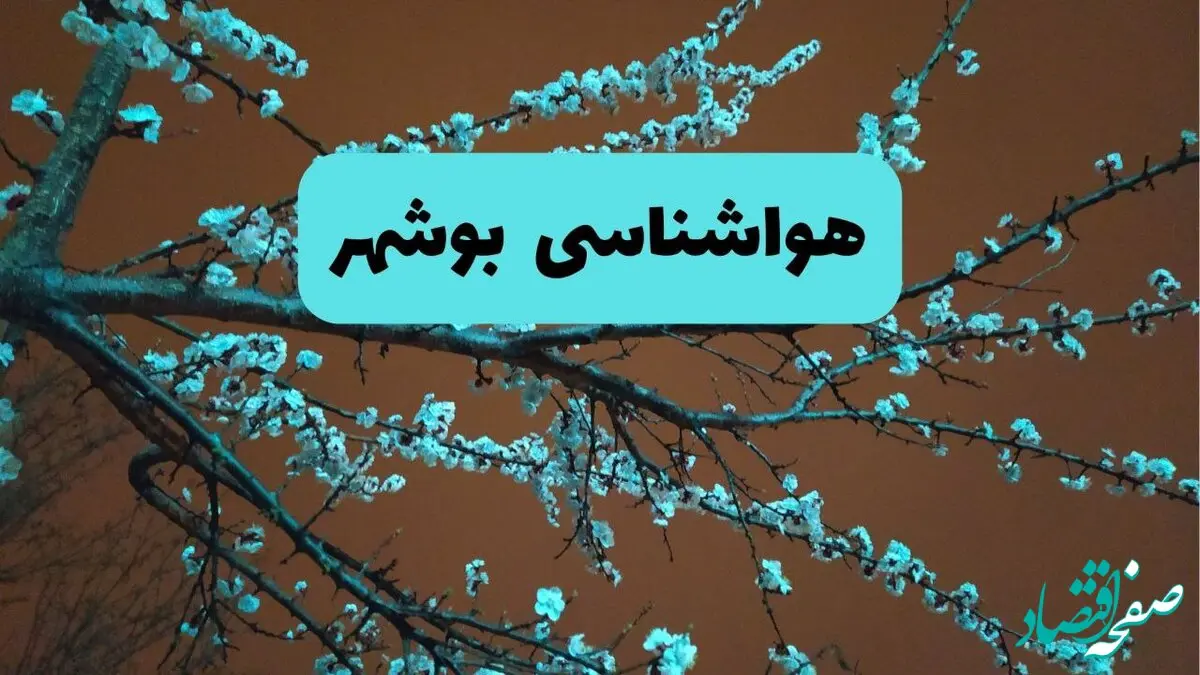 هواشناسی بوشهر ۲۴ ساعت آینده | پیش بینی وضعیت آب و هوا بوشهر فردا یکشنبه ۲۵ خرداد ماه ۱۴۰۴ 
