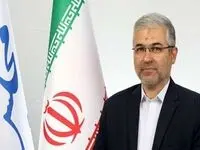 اتمام حجت مجلس با گندمکاران؛ قیمت تضمینی گندم تغییر نمی‌ کند 