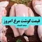 قیمت روز انواع مرغ - ۲۴ مهر ۱۴۰۴ | قیمت ران و سبنه مرغ