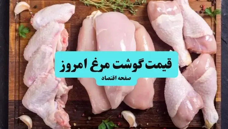 جدول قیمت مرغ امروز پنجشنبه ۱۶ مرداد ماه ۱۴۰۴ + جدول قیمت تخم مرغ | قیمت ران و سینه مرغ