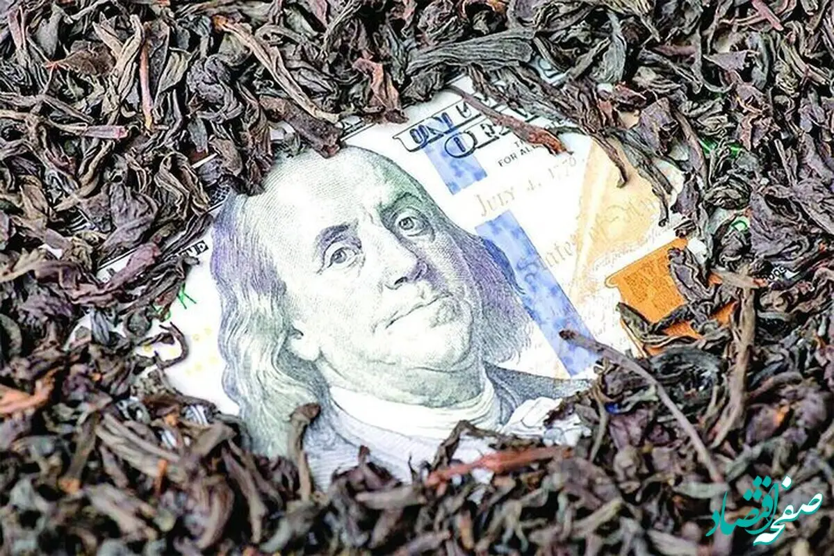 چای دبش!/ ماجرای فساد این رسوایی همچنان ادامه دارد!