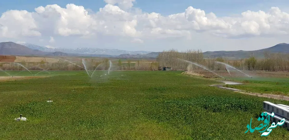 تجهیز بیش از ۱۰۰۰ هکتار از زمین‌های کشاورزی اردبیل به سیستم آبیاری تحت فشار
