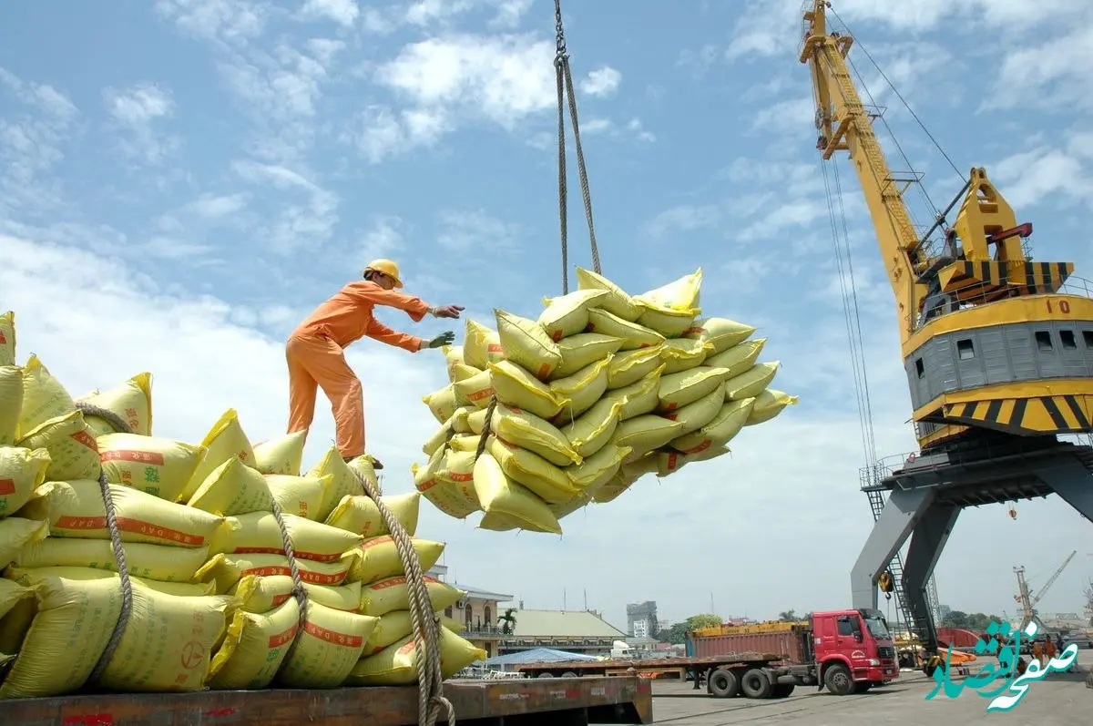 دیگر نگران قیمت برنج نباشید!/برنج ۴۸ هزار تومانی رسید