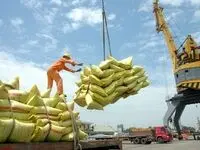 دیگر نگران قیمت برنج نباشید!/برنج ۴۸ هزار تومانی رسید