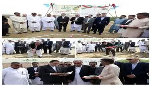 آغاز احداث بزرگترین کارخانه تولیدی کنسرو تن ماهی کشور با حضور رضا مسرور در منطقه آزاد چابهار