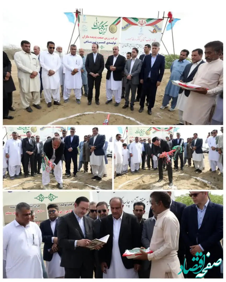 آغاز احداث بزرگترین کارخانه تولیدی کنسرو تن ماهی کشور با حضور رضا مسرور در منطقه آزاد چابهار