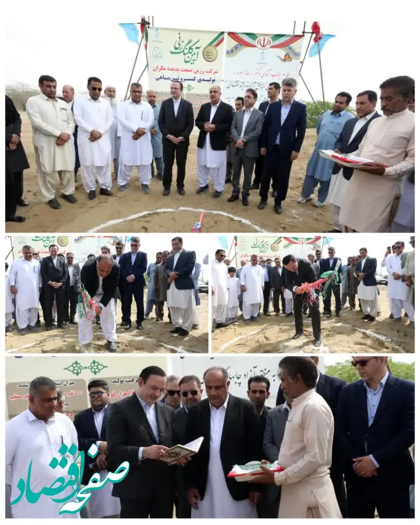 آغاز احداث بزرگترین کارخانه تولیدی کنسرو تن ماهی کشور با حضور رضا مسرور در منطقه آزاد چابهار