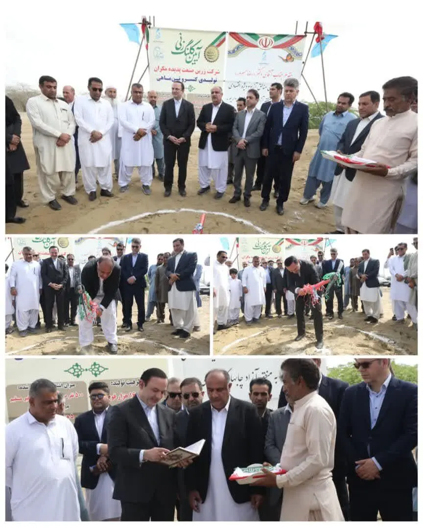 آغاز احداث بزرگترین کارخانه تولیدی کنسرو تن ماهی کشور با حضور رضا مسرور در منطقه آزاد چابهار