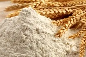  یارانه ۵۰۴ همتی آرد، پیام آرامش به بازار نان یا مناقشه تازه بودجه‌ای؟