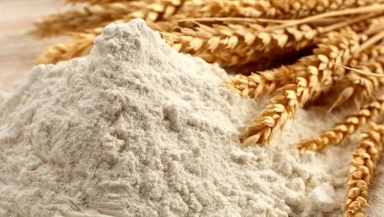  یارانه ۵۰۴ همتی آرد، پیام آرامش به بازار نان یا مناقشه تازه بودجه‌ای؟