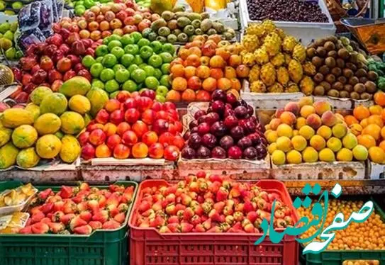 چرا میوه گران شد؟ صادرات بی‌برنامه عامل اصلی افزایش قیمت‌ها!