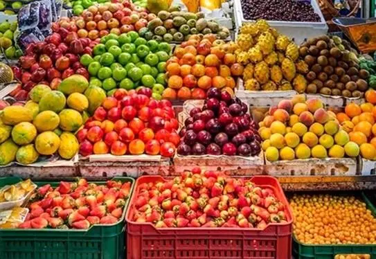 چرا میوه گران شد؟ صادرات بیبرنامه عامل اصلی افزایش قیمتها!