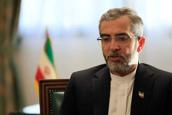 قطعنامه " وقفه های بشردوستانه " شورای امنیت یک 
پیروزی در جریان مقاومت است 