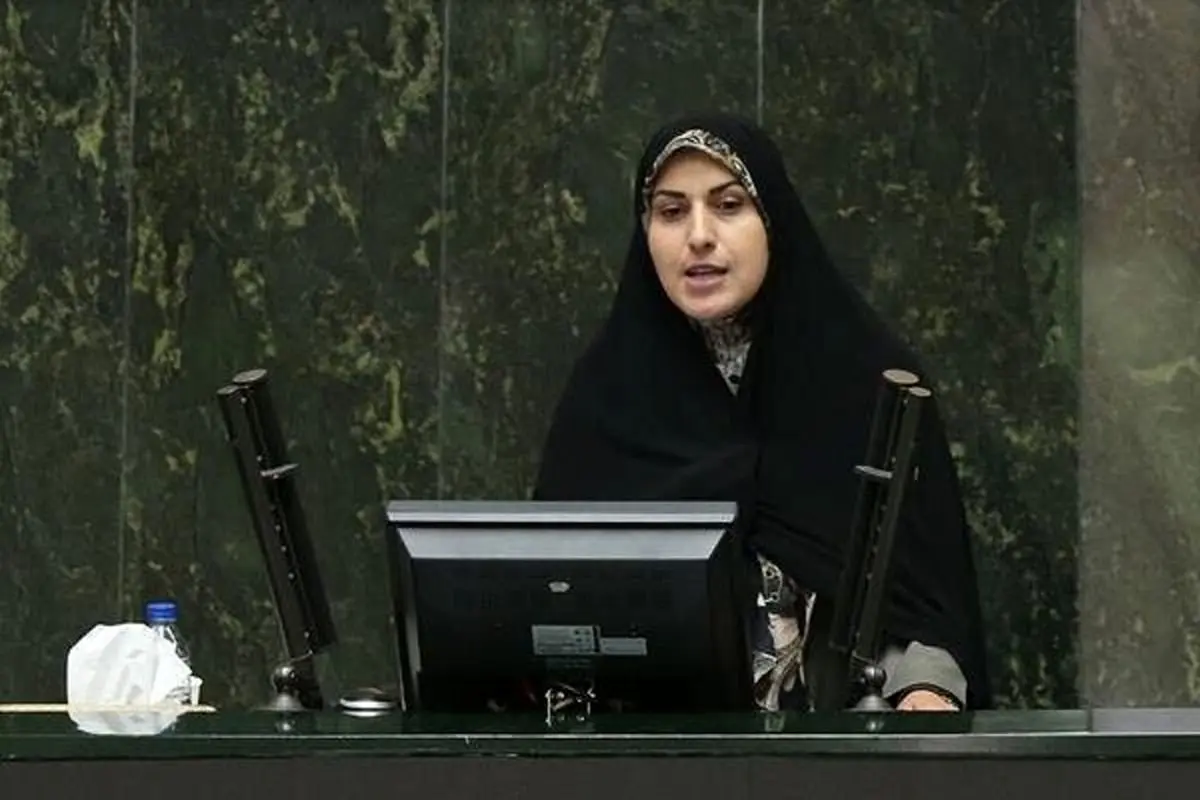 نماینده مجلس ؛ ما توسط واسطه ها شنیده ایم که دولت نیاز دارد ۷۰ درصد کرسی مجلس را داشته باشد / مدیریت بهتر از این نمی شود !