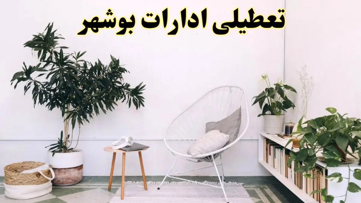 تعطیلی ادارات بوشهر در روز دوشنبه ۸ اردیبهشت ۱۴۰۴/ خبر فوری تعطیلی ادارات بوشهر فردا دوشنبه ۸ اردیبهشت ۱۴۰۴