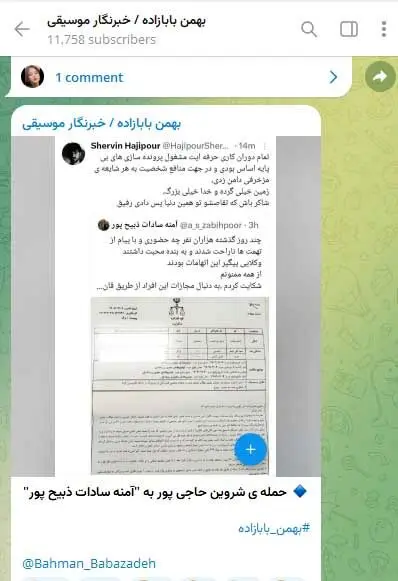 حمله تند و تیز شروین حاجی‌پور به آمنه‌السادات ذبیح‌پور