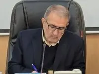 علت افزایش قیمت مرغ در این روزها چیست؟ | پاسخ رسمی این مسئول