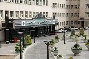 آخرین اخبار مالیات | مالیات صفر برای چند درصد مشاغل ادامه می‌یابد؟ 