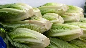 نرخ کاهو و خیار نجومی شد؟ 