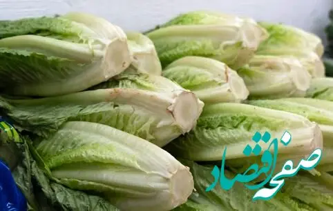 نرخ کاهو و خیار نجومی شد؟ 