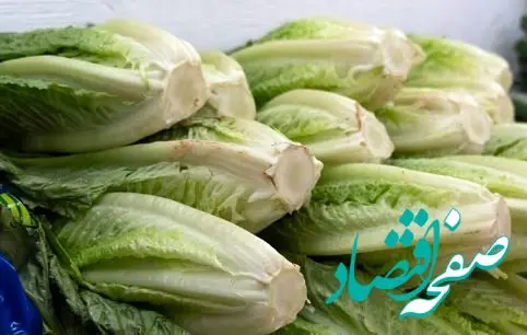 نرخ کاهو و خیار نجومی شد؟ 