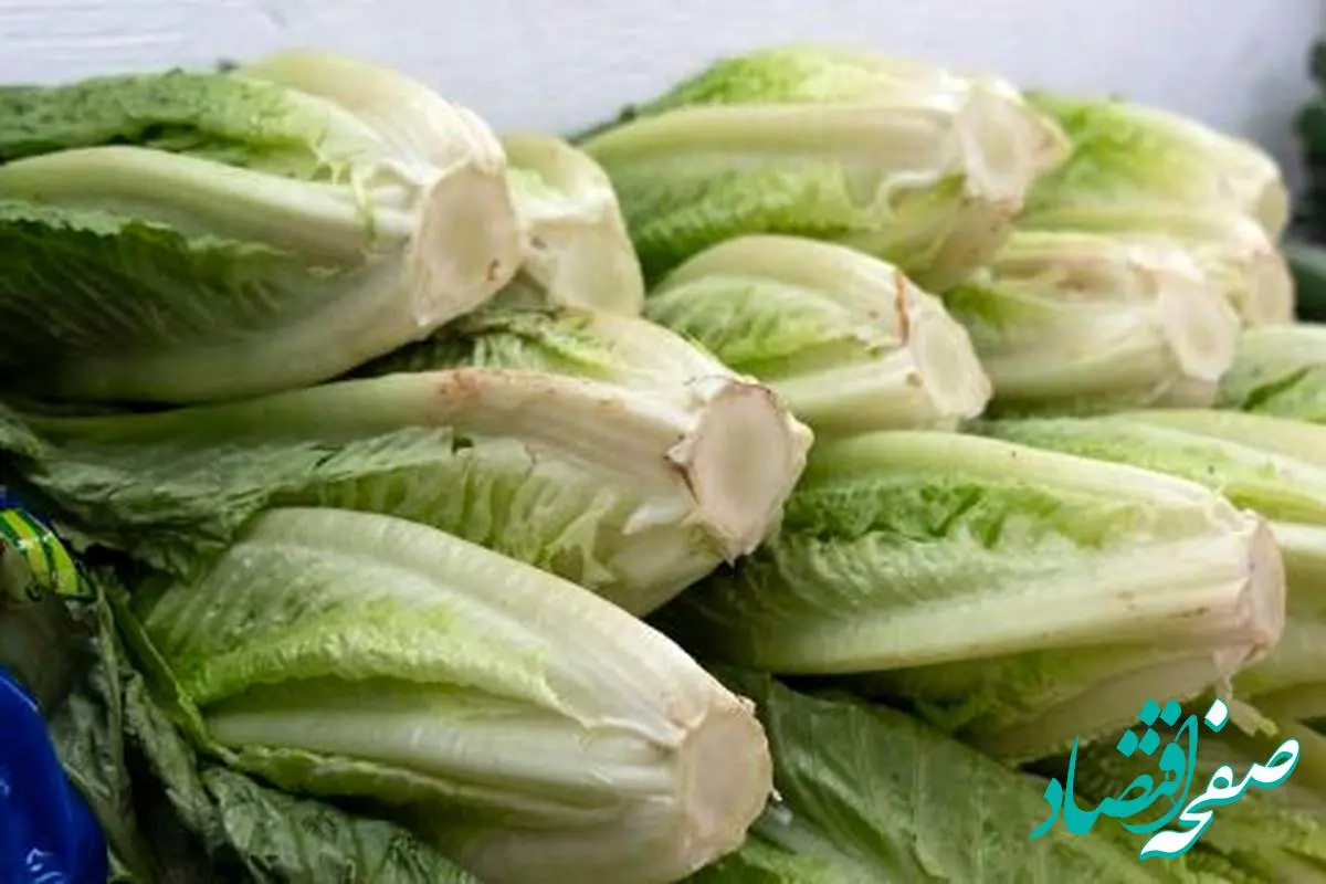 نرخ کاهو و خیار نجومی شد؟