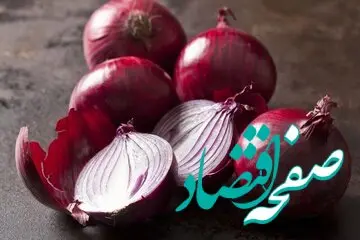 خطر کاهش کشت پیاز در سال آینده | مصوبه الگوی کشت را اجرایی کنید