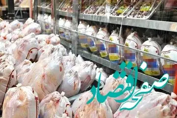 یک خبر از رییس اتحادیه مرغداران درباره قیمت تخم‌ مرغ + جزئیات