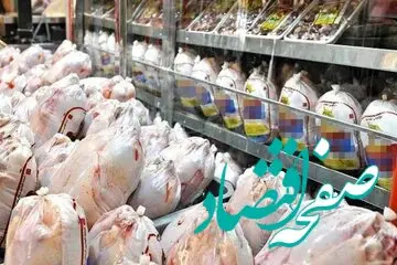 یک خبر از رییس اتحادیه مرغداران درباره قیمت تخم‌ مرغ + جزئیات