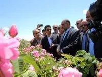 حضور میدانی مسئولان در میان کشاورزان ، مشکلات را سریعتر برطرف می‌کند