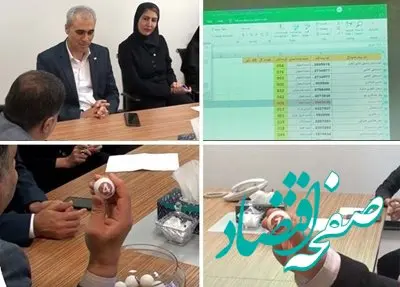 برندگان جشنواره پرتو در بخش بیمه‌گذاران مشخص شدند