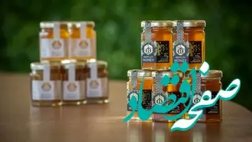 این محصول عجیب غول خودروساز انگلیسی جهان را شگفت زده کرد!/ عکس