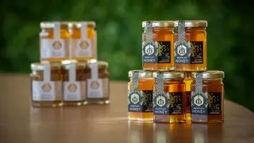 این محصول عجیب غول خودروساز انگلیسی جهان را شگفت زده کرد!/ عکس