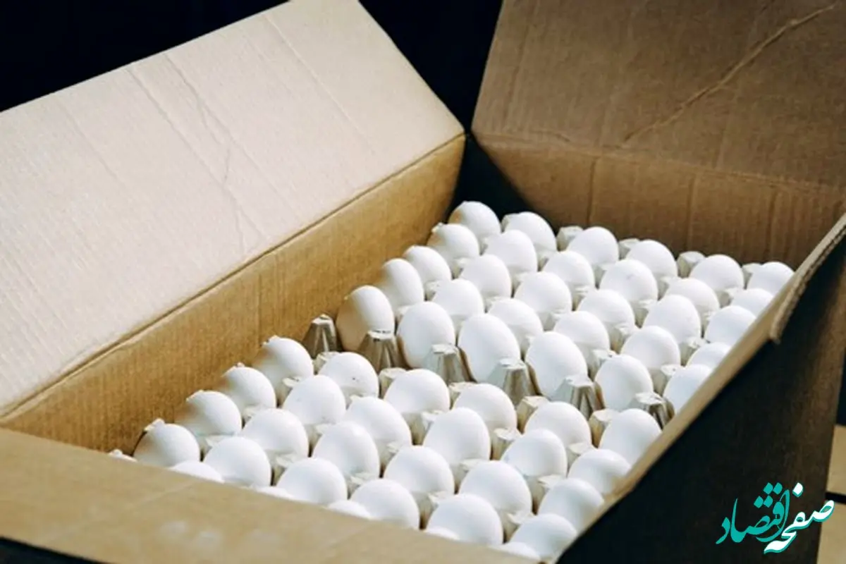 ثبات در قیمت تخم مرغ ادامه دارد + قیمت تخم مرغ امروز ۱۵ مهر ۱۴۰۳