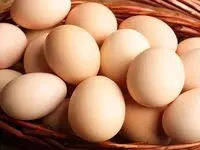 پربازده ترین سبد سرمایه گذاری در ۶ ماه گذشته!