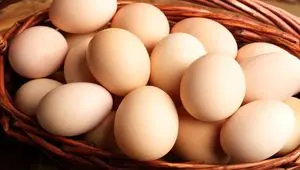 پربازده ترین سبد سرمایه گذاری در ۶ ماه گذشته!
