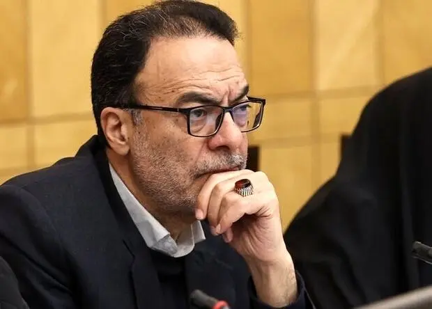  عضو مجلس: عرضه دیرهنگام مرغ منجمد فقط التهابات را شعله‌ور کرد