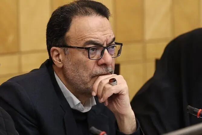  عضو مجلس: عرضه دیرهنگام مرغ منجمد فقط التهابات را شعله‌ور کرد