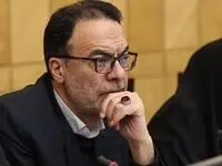  عضو مجلس: عرضه دیرهنگام مرغ منجمد فقط التهابات را شعله‌ور کرد