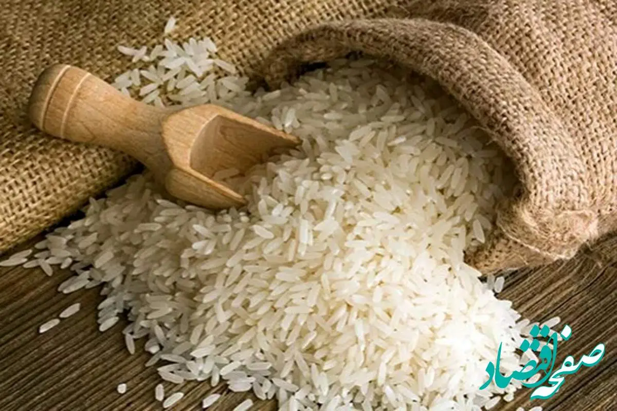 آخرین خبر از افزایش قیمت خرید توافقی برنج در مازندران امروز 13 مرداد 1402 | برنج شیرودی کیلویی چند؟ 