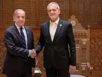 شهباز شریف پس از دیدار با پزشکیان: در کنار هم برای صلح منطقه کار خواهیم کرد