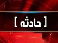 فوری؛ مرگ خیلی وحشتناک راننده در تصادف خودرو با اسب + تصویر