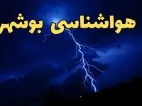 پیش بینی وضعیت آب و هوا بوشهر فردا دوشنبه ۲۰ اسفند ماه ۱۴۰۳ | پیش‌ بینی هواشناسی بوشهر طی ۲۴ ساعت آینده + آب و هوای بوشهر و زمان بارش