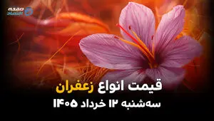 قیمت زعفران امروز سه‌شنبه ۱۲ خرداد ۱۴۰۵ | بازار طلای سرخ در مسیر نوسان