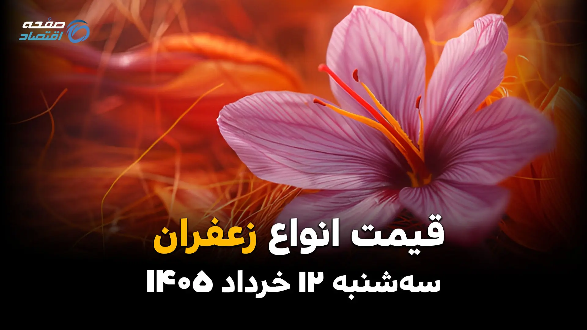 قیمت زعفران امروز سه‌شنبه ۱۲ خرداد ۱۴۰۵ | بازار طلای سرخ در مسیر نوسان