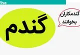 آخرین خبر از پرداخت مطالبات گندمکاران امروز چهارشنبه ۲۳ آبان ماه ۱۴۰۳ | کی پول گندم واریز می شود؟ 